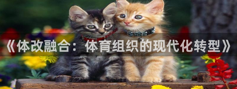 必一体育app官方：