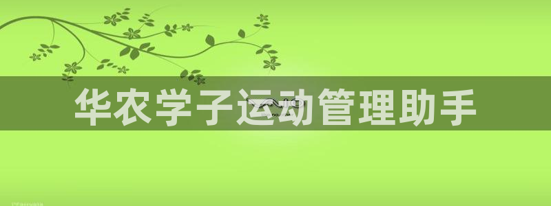 必一体育在哪下