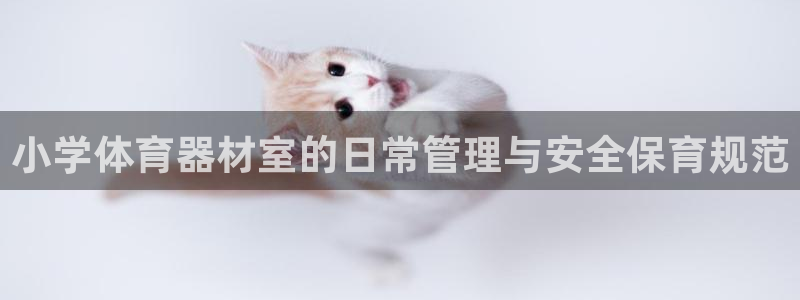 必一运动官网登录入口