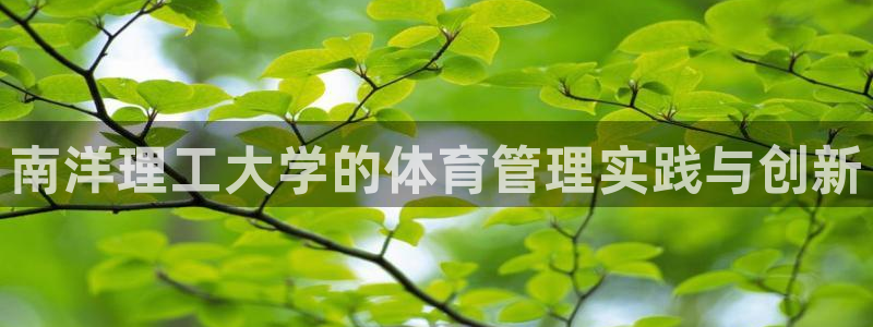 必一体育sport网