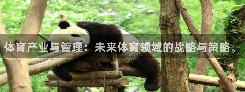 必一体育运动app：