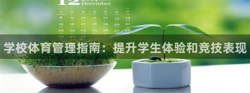 必一体育登录入口APP