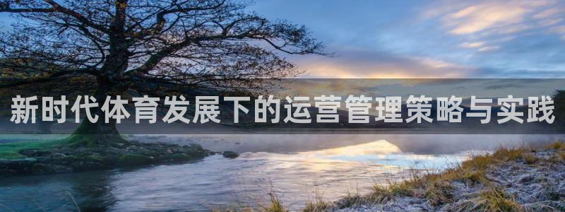 必一体育电子app：