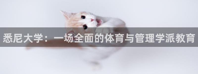 必一体育登陆：悉尼大