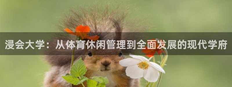 必一体育sport：