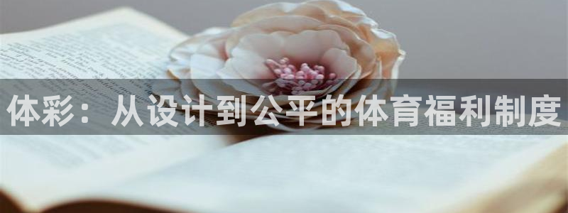 必一体育app平台下