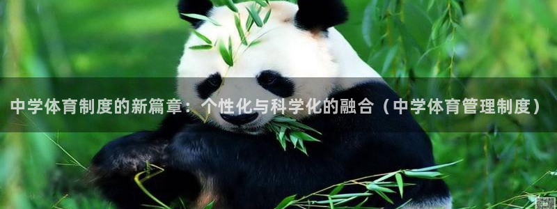 必一体育下载意思：中