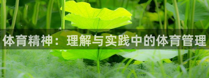 必一体育app下载最