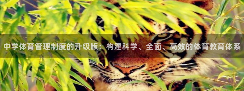 必一体育官网app：