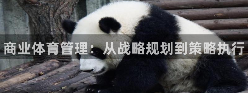必一体育官网ios下载：商业体育管理：从战略规划到策略执行