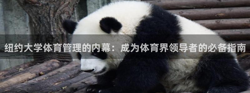 必一体育app官方正