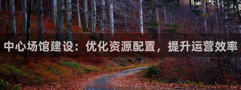 必一体育在哪下：中心场馆建设：优化资源配置，提升运营效率