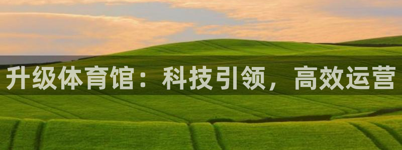 必一运动体育app：