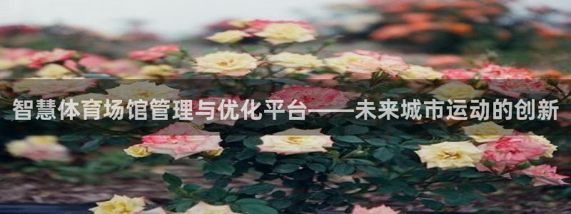 必一体育下载app下