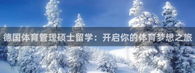 必一运动aop：德国