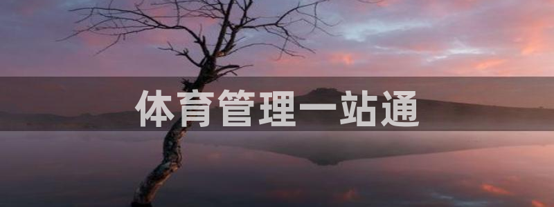 必一运动 b 体育素描版