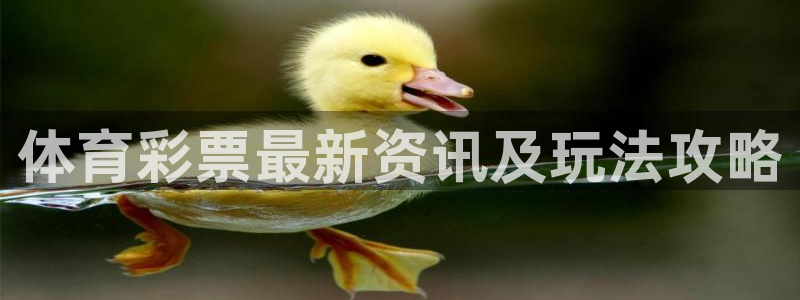 必一运动 b 体育素